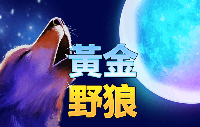 仙女扑克