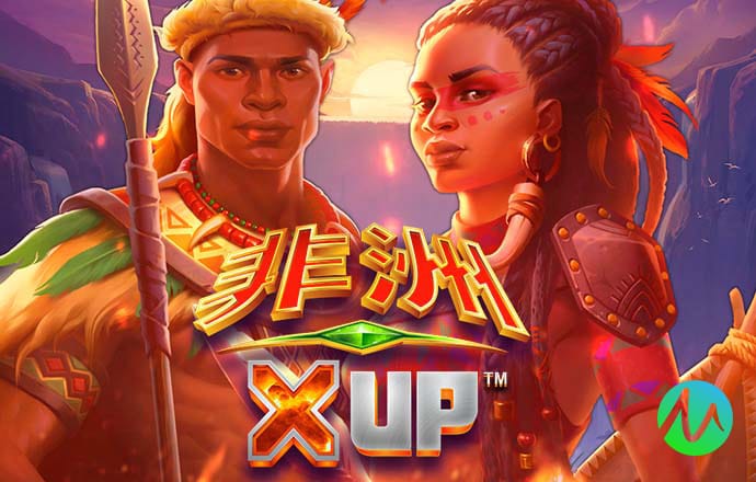 金牛网金牛版42260最新版