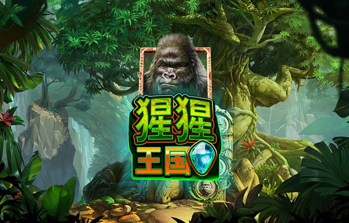 77体育 od体育app最新版
